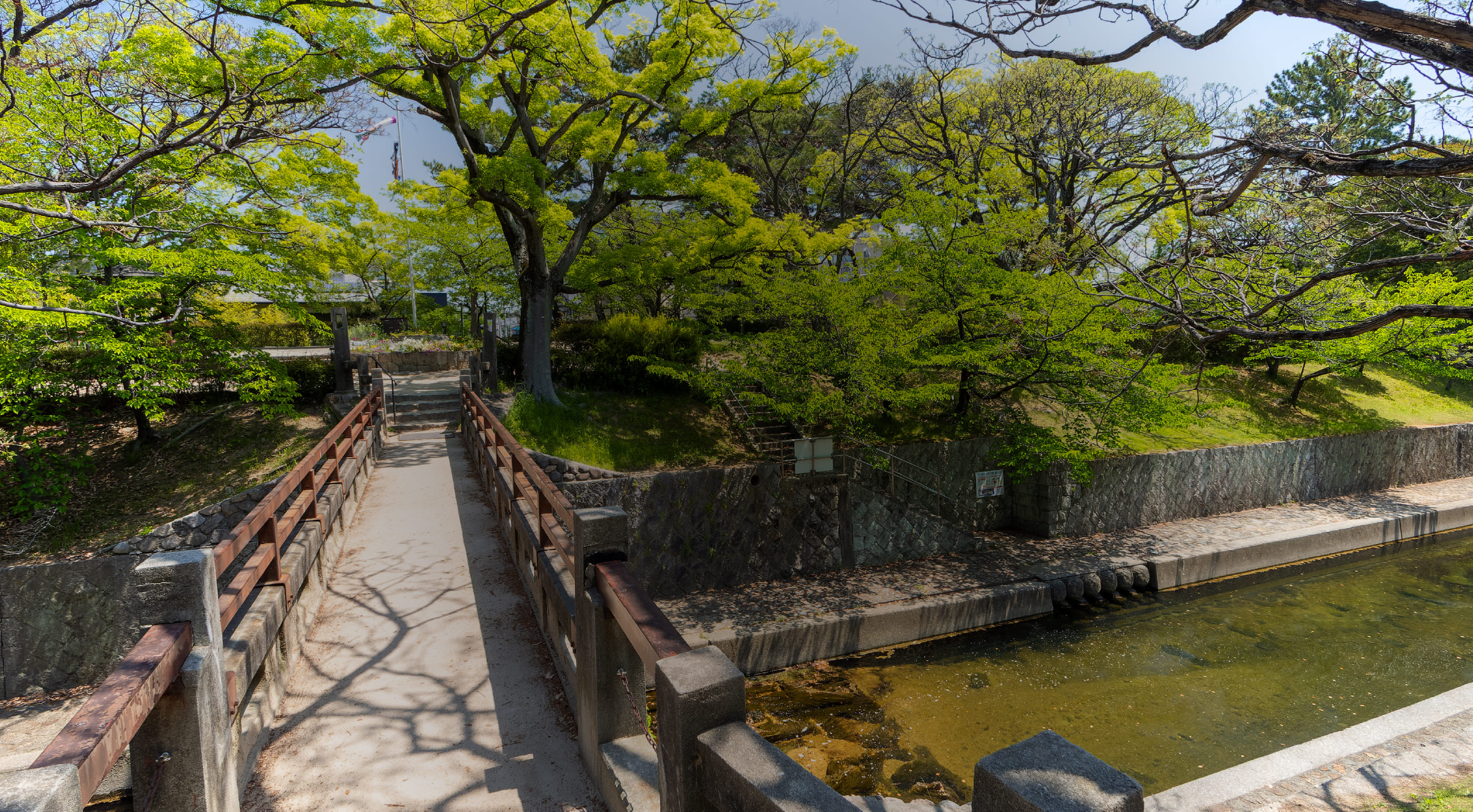 新緑の夙川公園 川添橋の写真